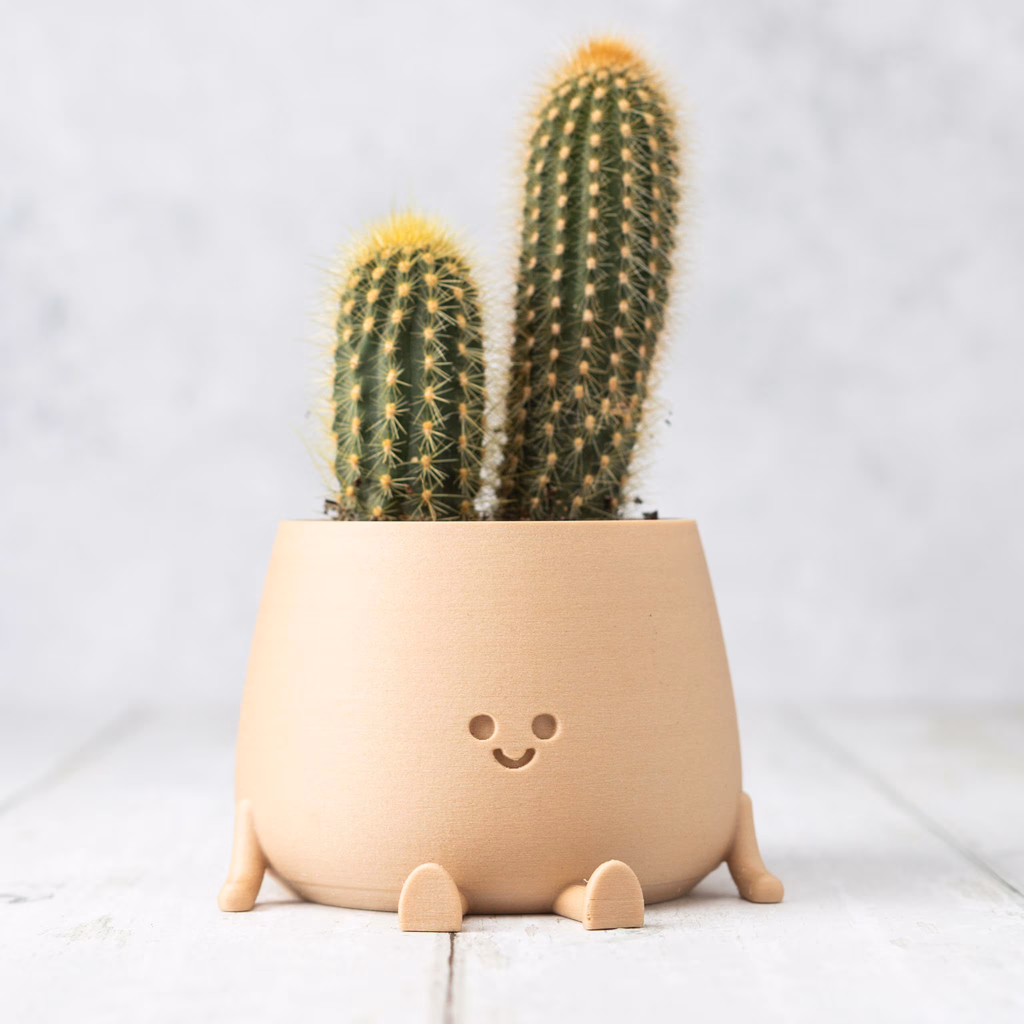 Bloempot